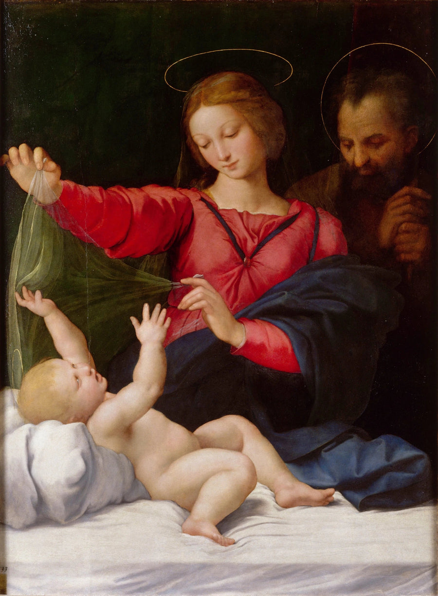 La Madonna de Orleans - Rafael Sanzio