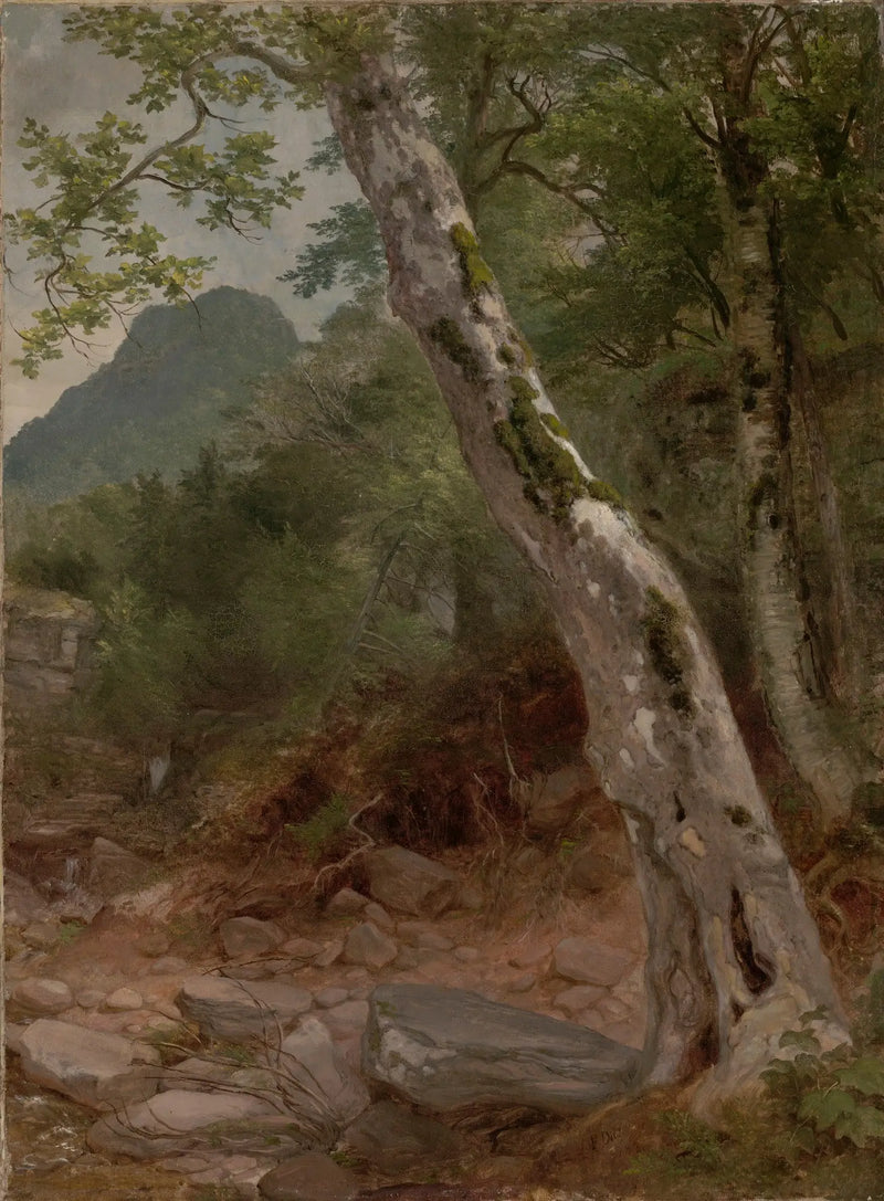 Un sicómoro, Plaaterkill Clove - Asher Brown Durand