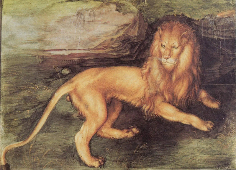 León - Albrecht Dürer