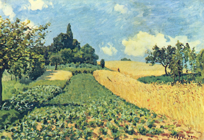 Campos de trigo en las alturas de Argenteuil - Alfred Sisley