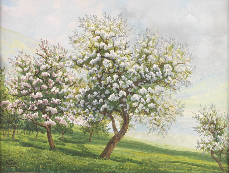 Blühende Obstbäume – Alois Tott