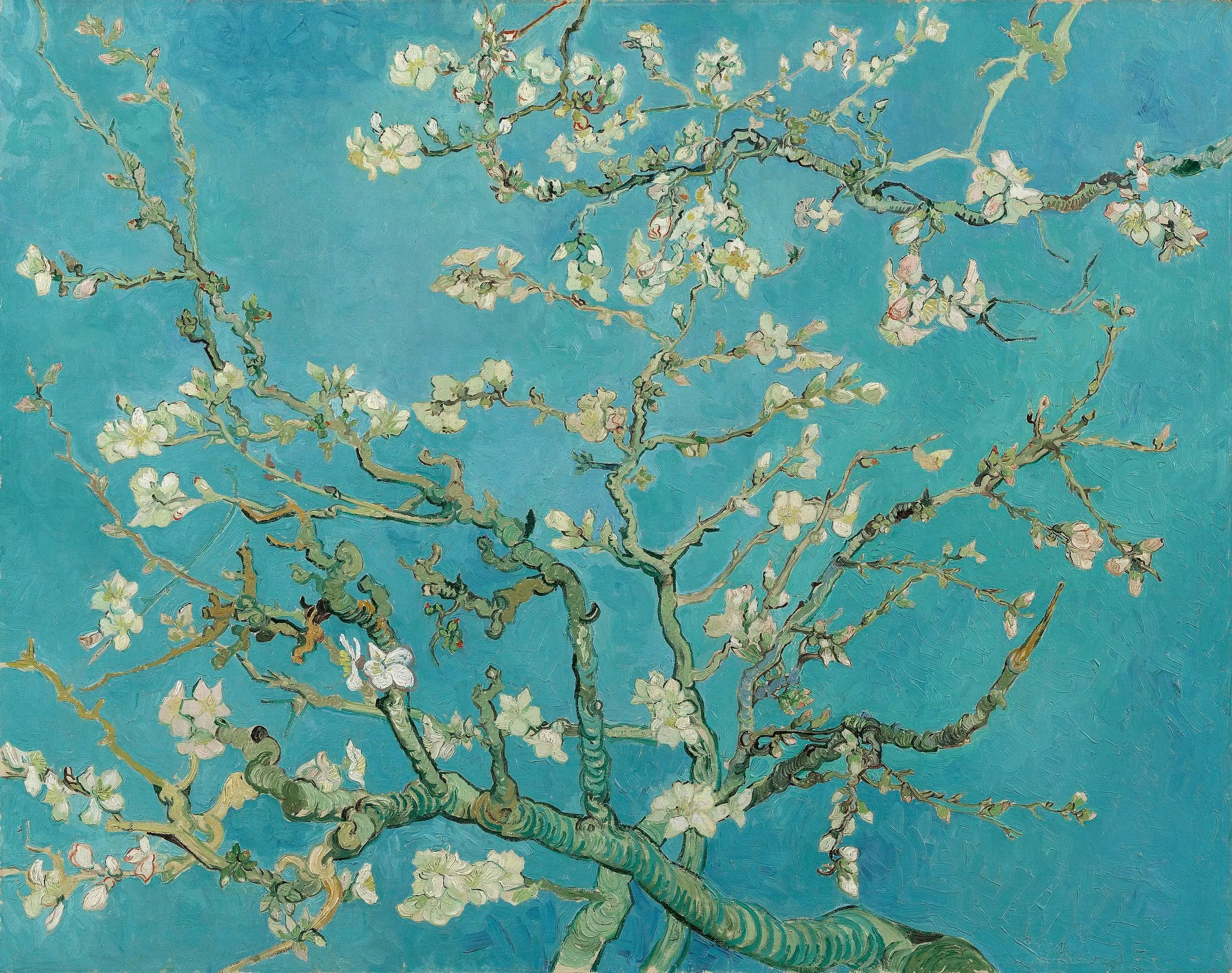 Amandier en fleurs - Vincent van Gogh - Alpha Reproduction
