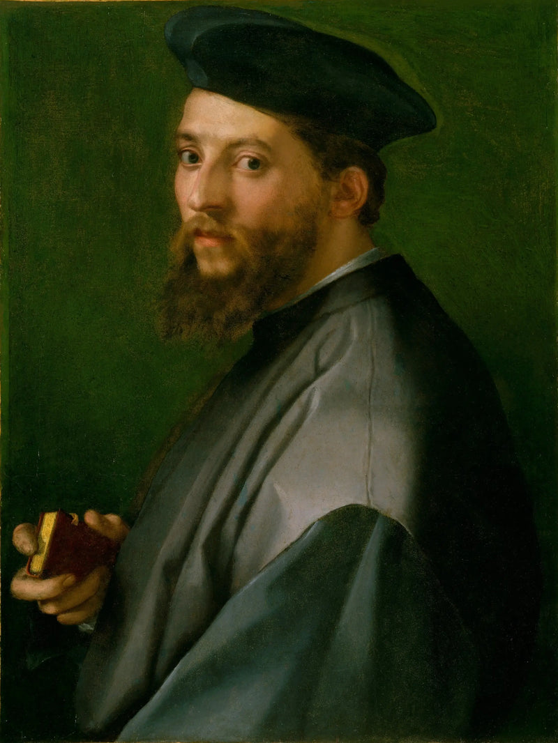 Retrato de hombre - Andrea del Sarto