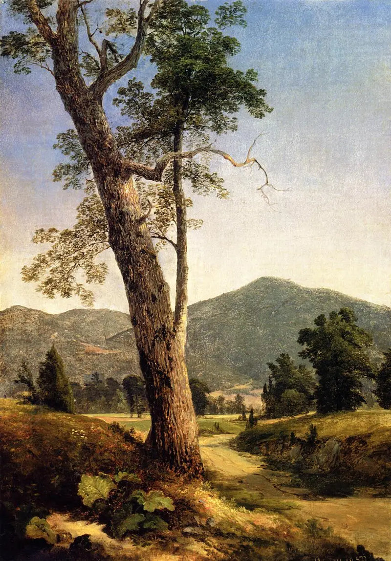 Paisaje más allá del árbol - Asher Brown Durand