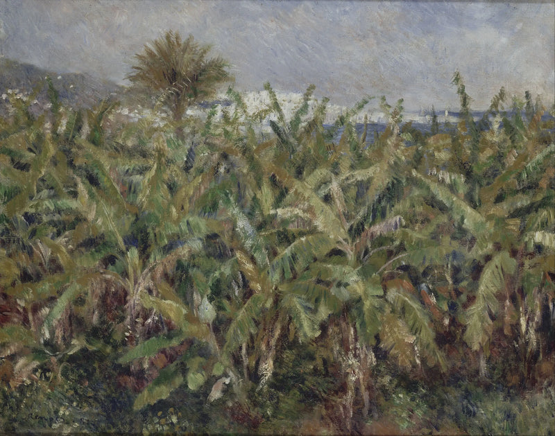 campo de plátanos - Pierre-Auguste Renoir