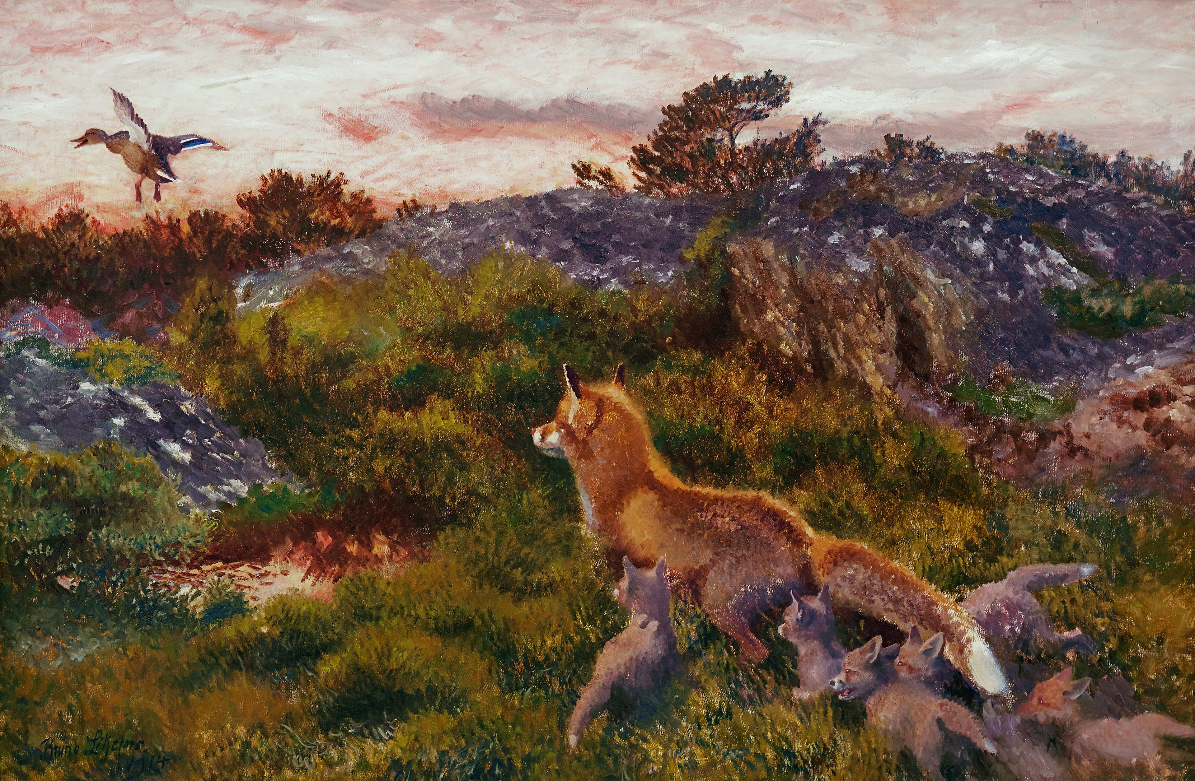 Une famille de renards avec un canard colvert qui s'étire - Bruno Liljefors