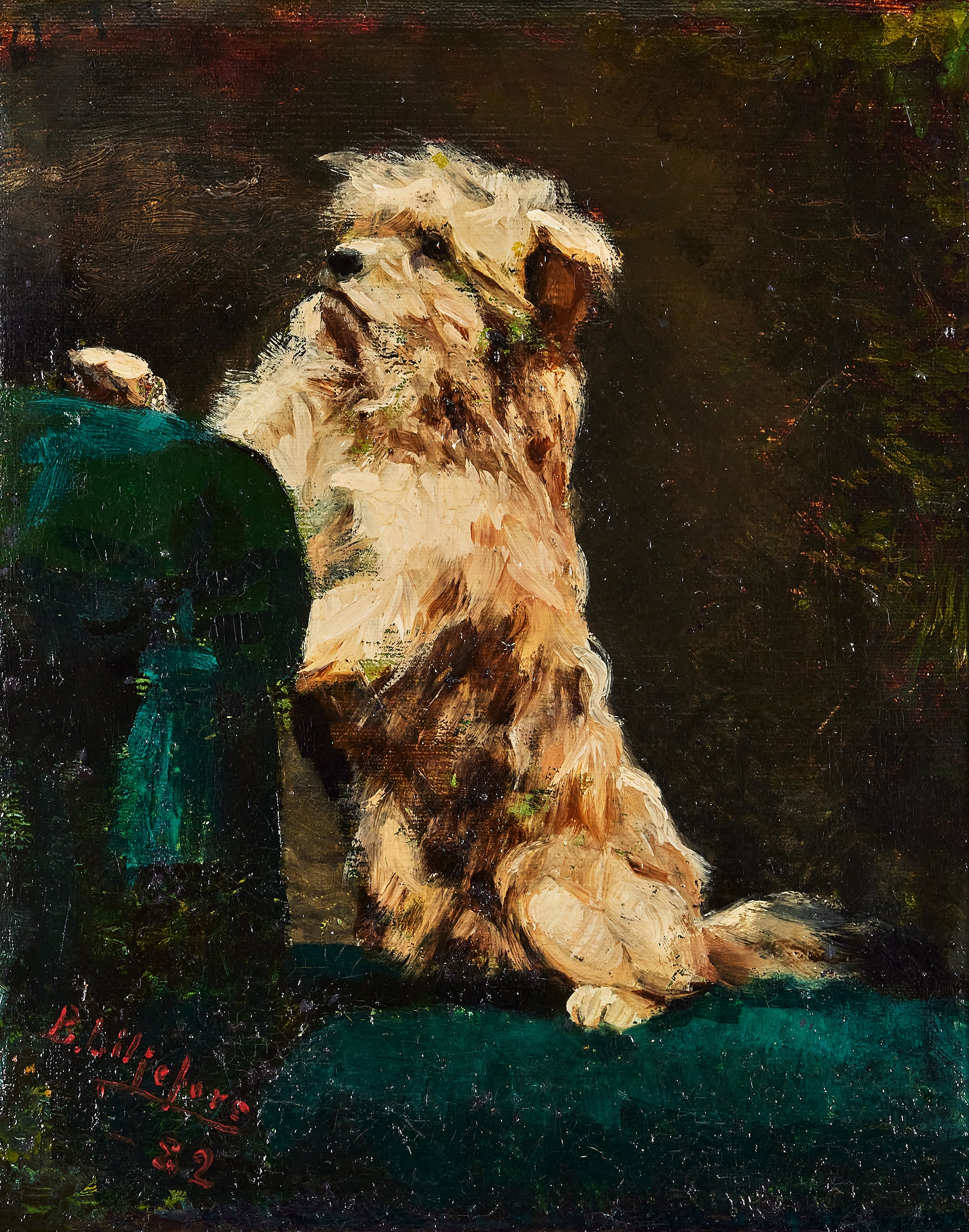 Ali - Bruno Liljefors