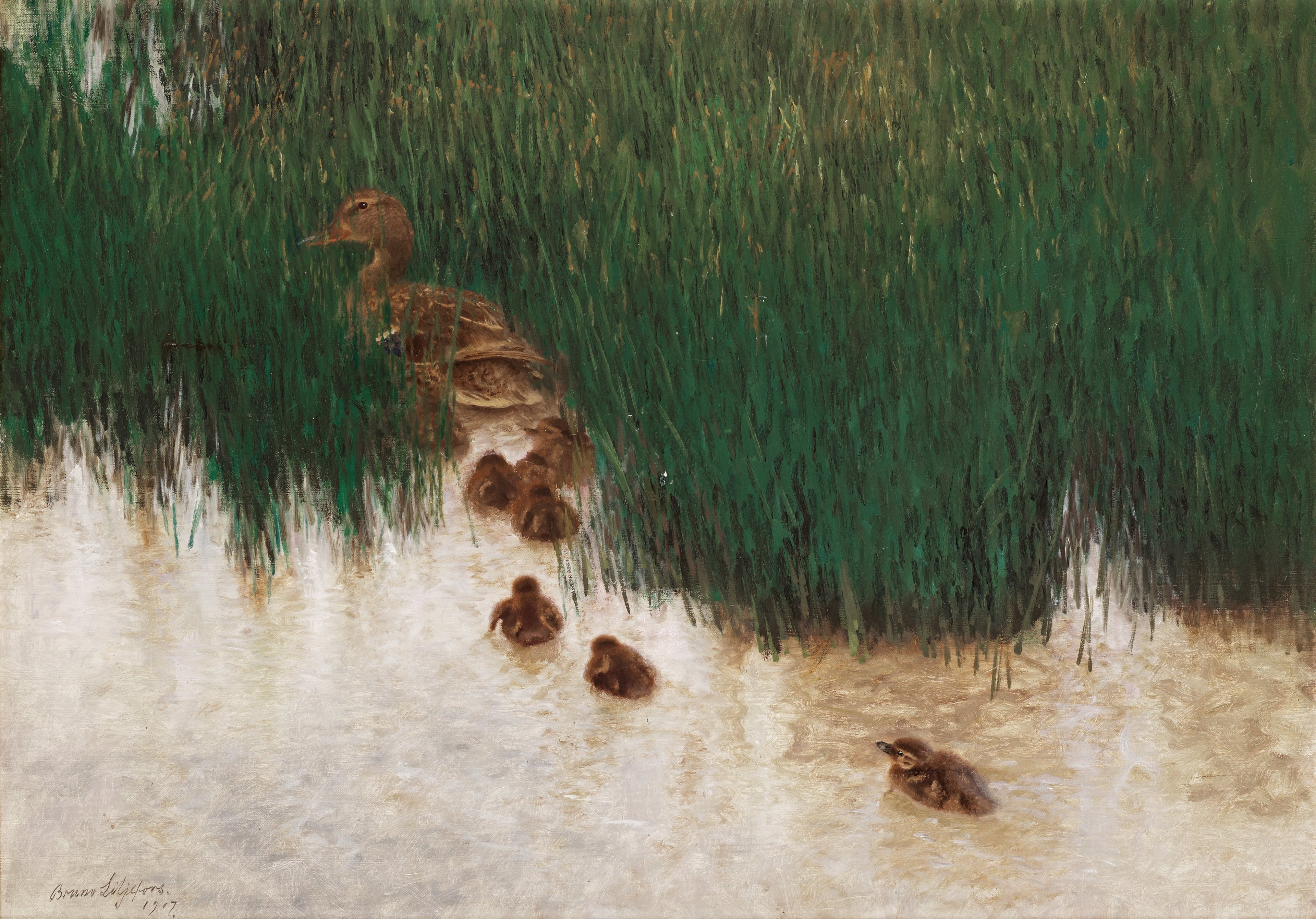 Une famille de canards parmi les roseaux - Bruno Liljefors