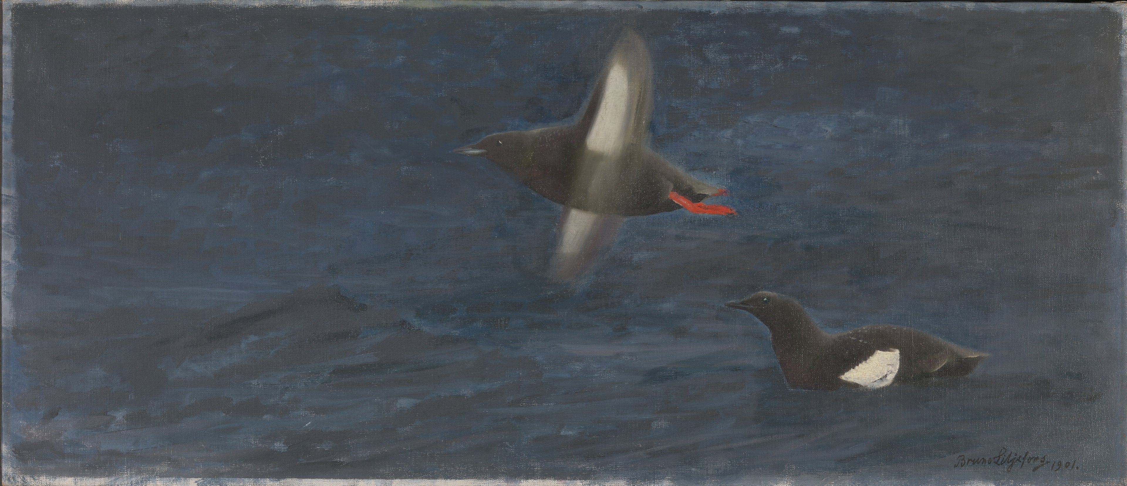 Cochons-bleus - Bruno Liljefors