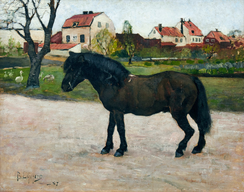 Poni negro - Bruno Liljefors