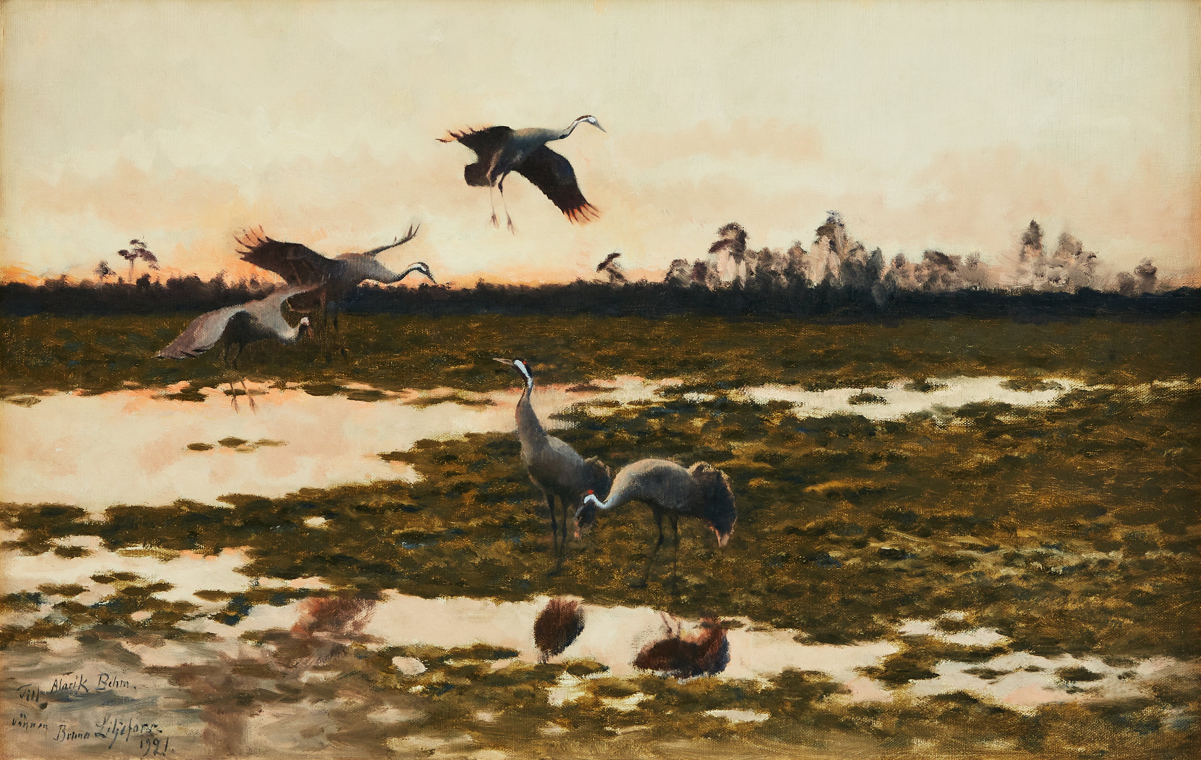 Grues au crépuscule - Bruno Liljefors
