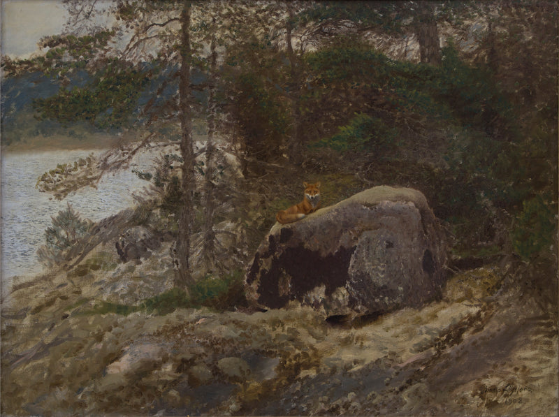 Zorro - Bruno Liljefors