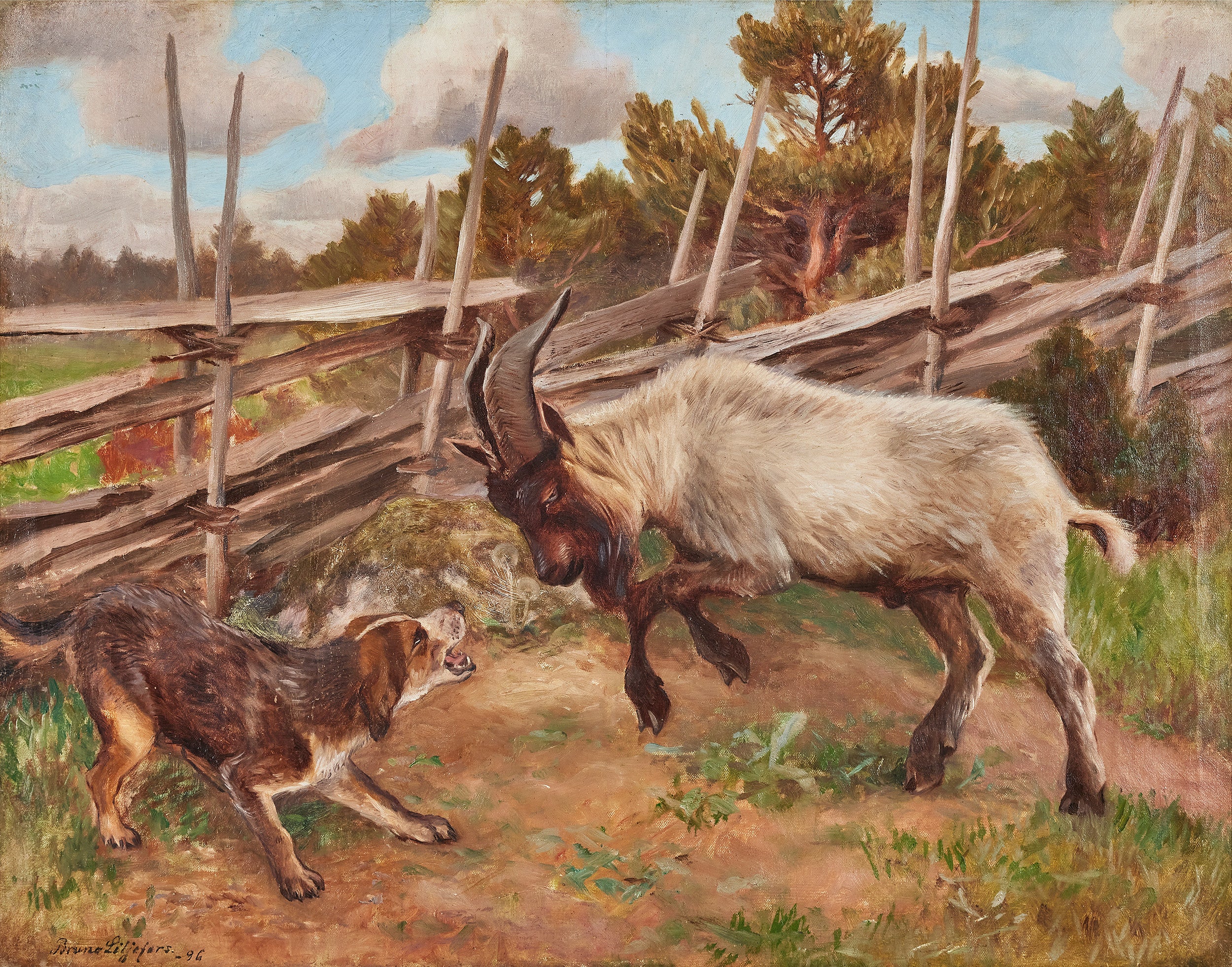 Cabra dando cabezazos - Bruno Liljefors