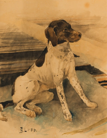 perro de caza - Bruno Liljefors