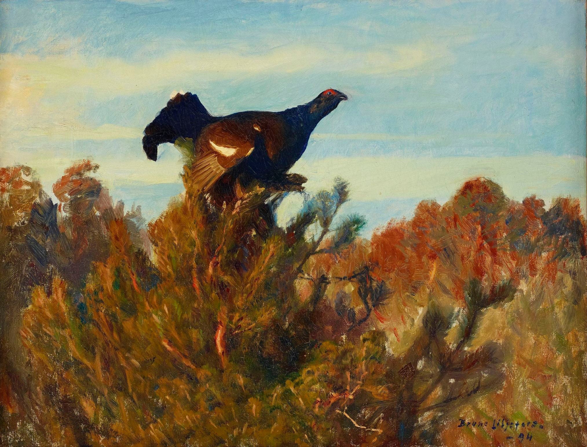 Urogallo negro - Bruno Liljefors