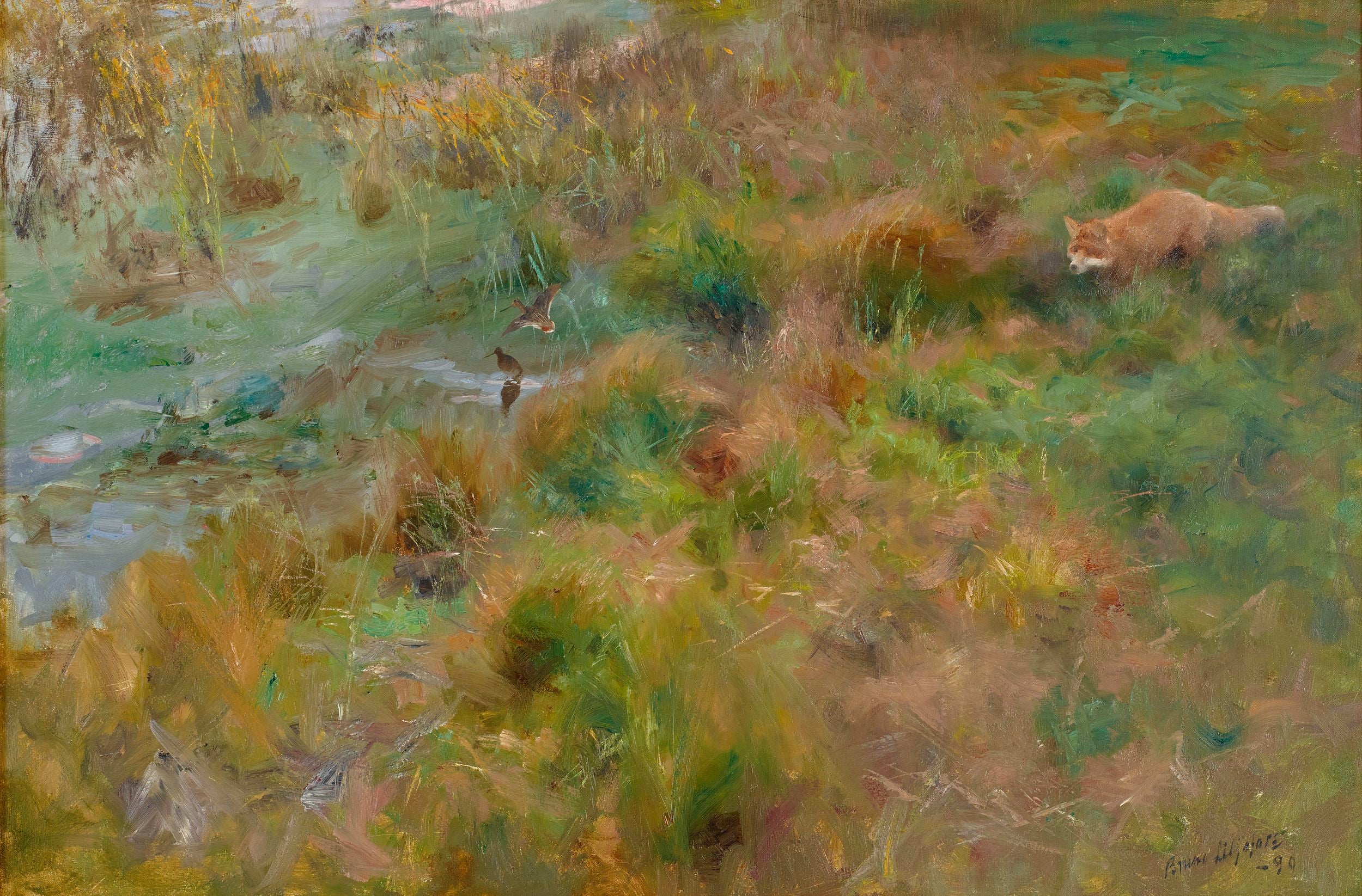 Pantano - Bruno Liljefors