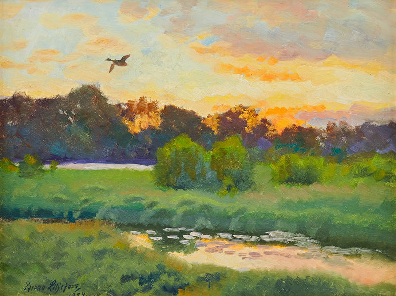 ave marina estirada - Bruno Liljefors