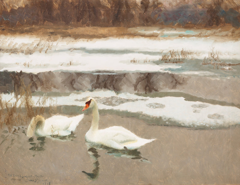 Cisnes - Bruno Liljefors