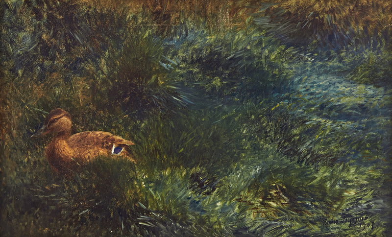 pato salvaje - Bruno Liljefors