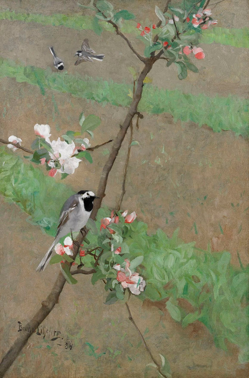 Lavanderas blancas - Bruno Liljefors