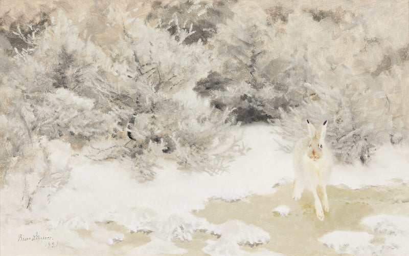 Liebre de invierno - Bruno Liljefors