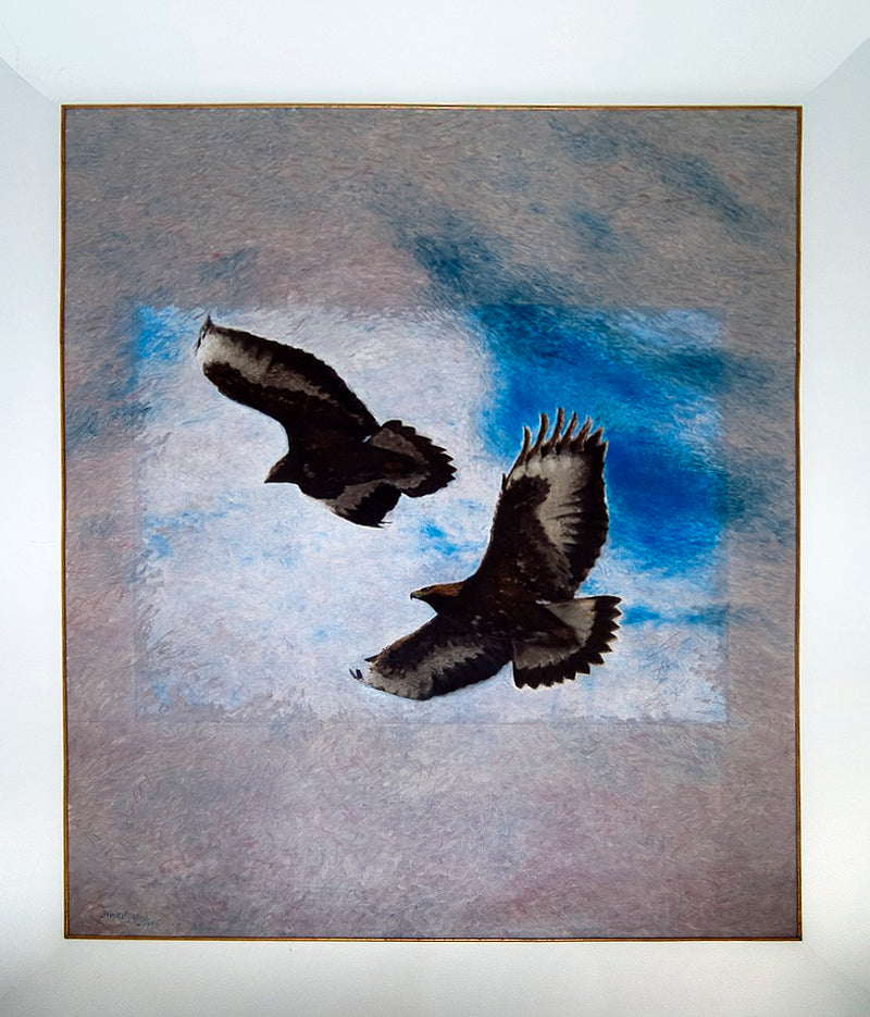 Águilas - Bruno Liljefors