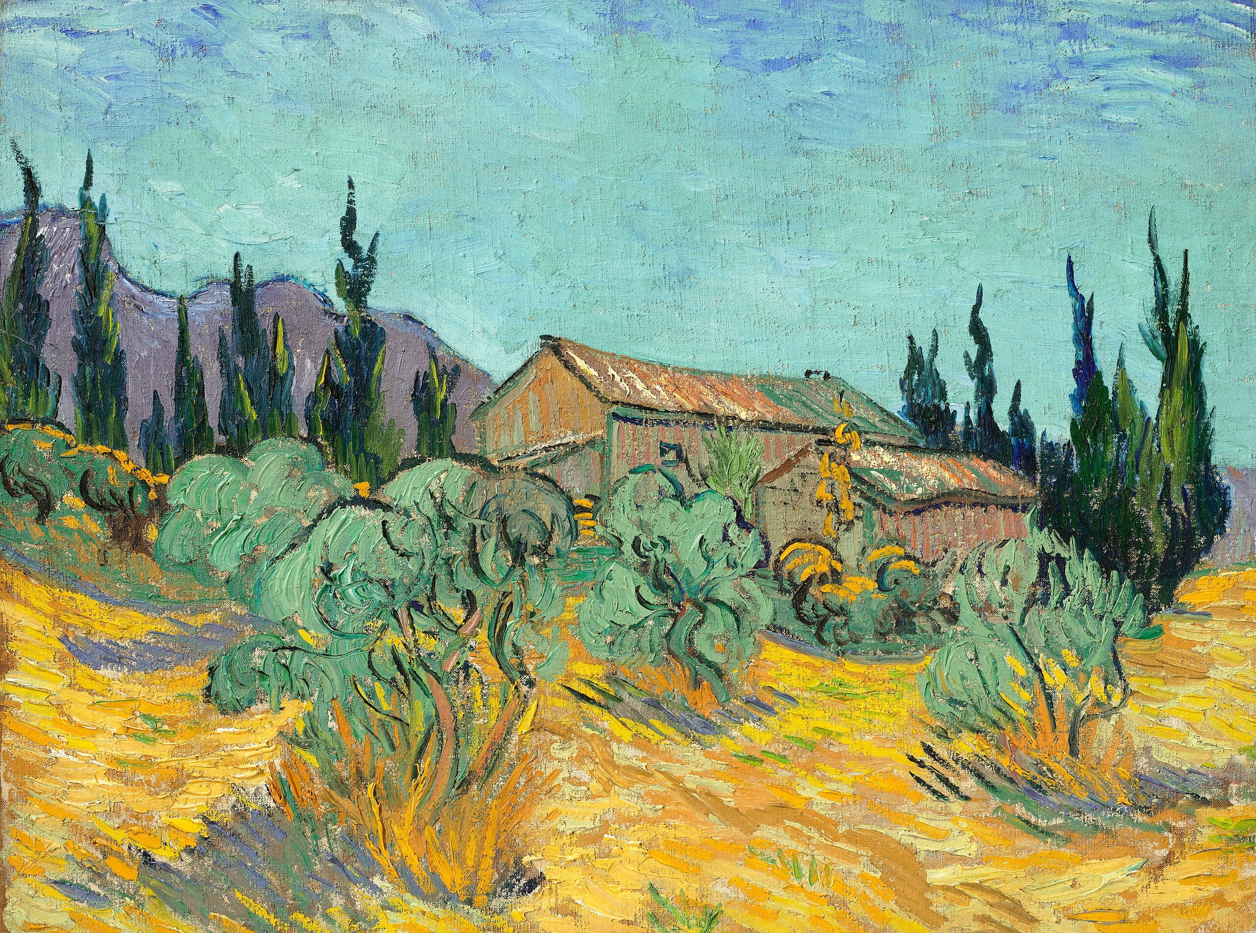 Cabanes de bois parmi les oliviers et cyprès - Vincent van Gogh - Alpha Reproduction