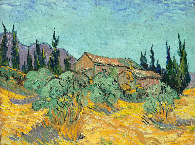 Cabañas de madera entre los olivos y cipreses - Vincent van Gogh