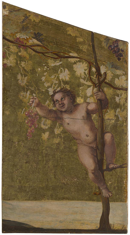 Putto cueillant des raisins - Annibale Carracci - Alpha Reproduction
