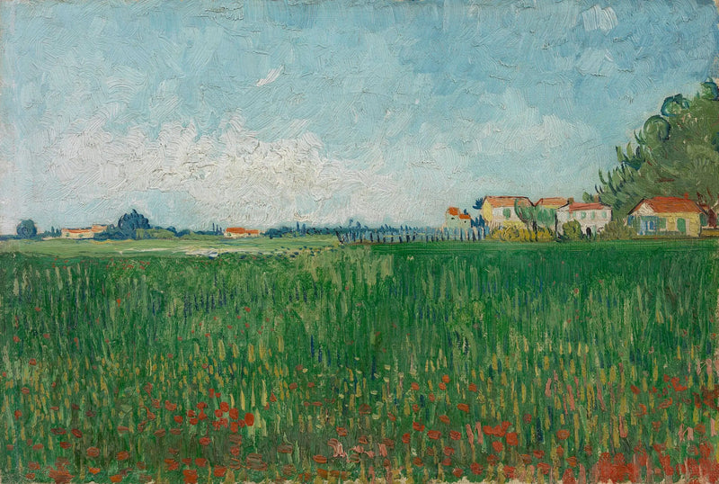 Campo de amapolas - Vincent van Gogh