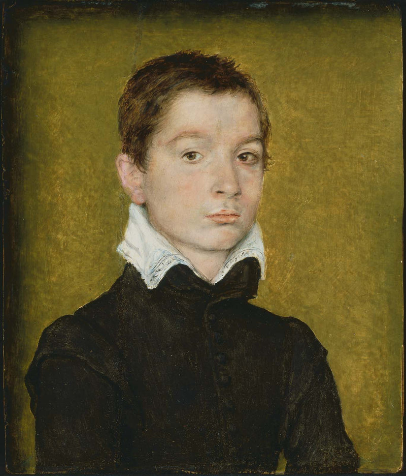 Portrait de jeune homme - Corneille de Lyon