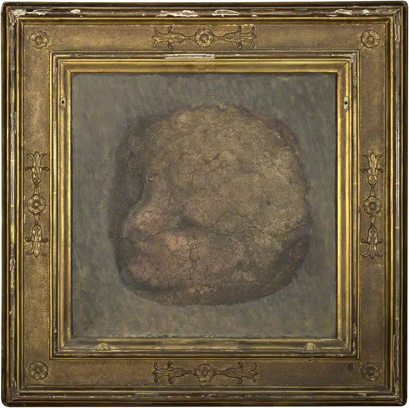 Cabeza de ángel - Antonio da Correggio