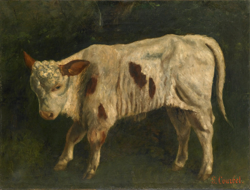 El ternero blanco - Gustave Courbet