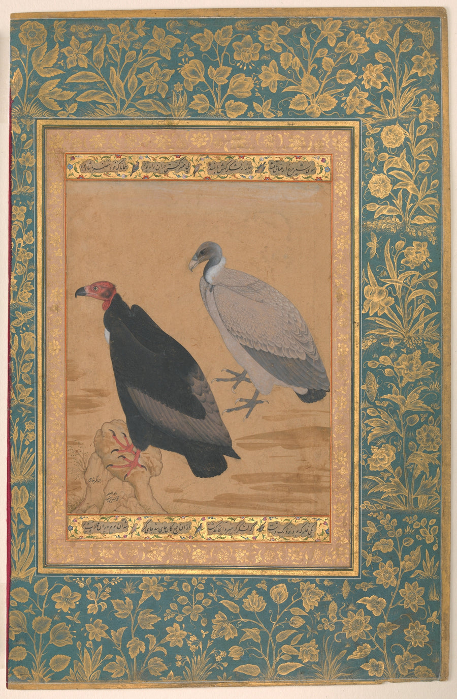 "Red-Headed Vulture and Long-Billed Vulture", Folio from the Shah Jahan Album - Mansur