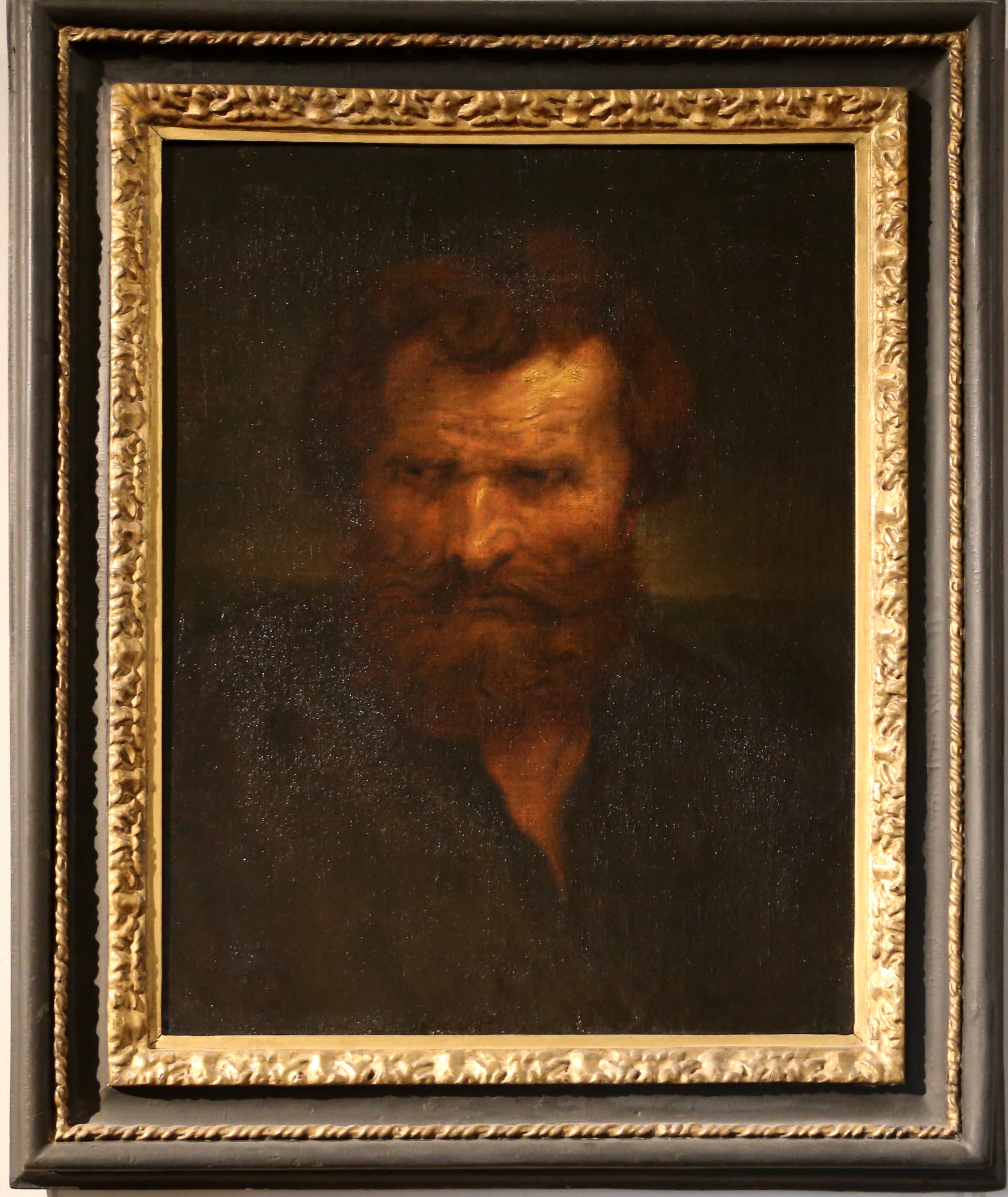 Tête d'homme - Jacob Jordaens