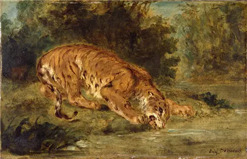 Tigre bebiendo - Eugène Delacroix