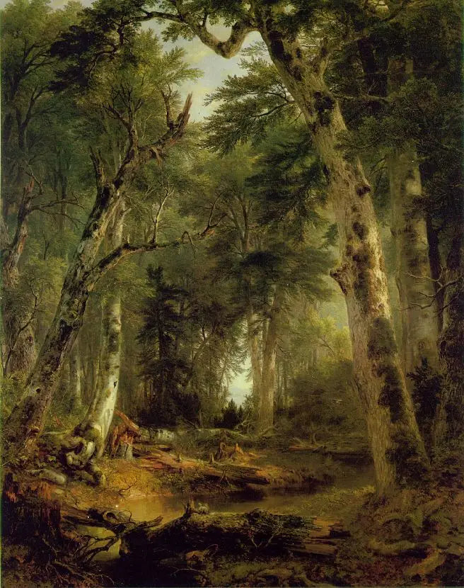 En los bosques - Asher Brown Durand
