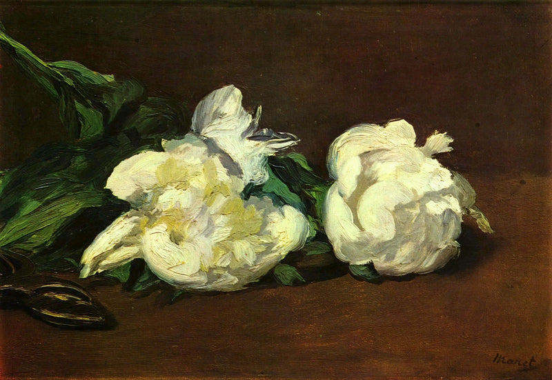Rama de peonías blancas y tijeras de podar - Édouard Manet