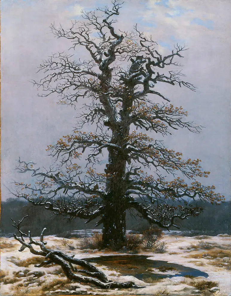 Roble bajo la nieve - Caspar David Friedrich