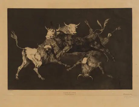 Toros - Francisco de Goya