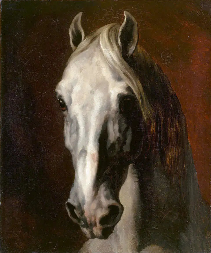 Cabeza de caballo blanco - Théodore Géricault