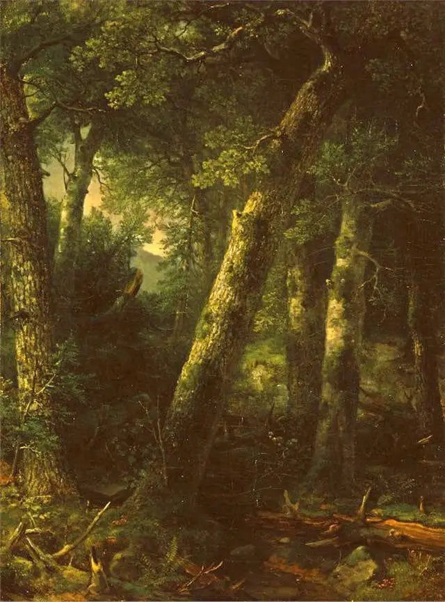 Bosque en la luz de la mañana - Asher Brown Durand
