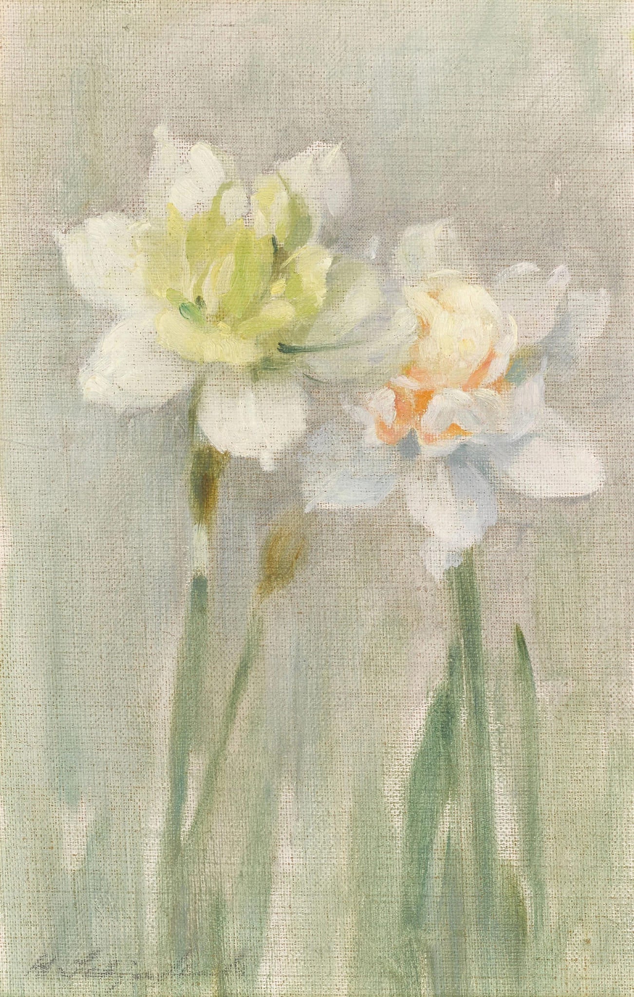 White Narcissi 1890s - Helene Schjerfbeck