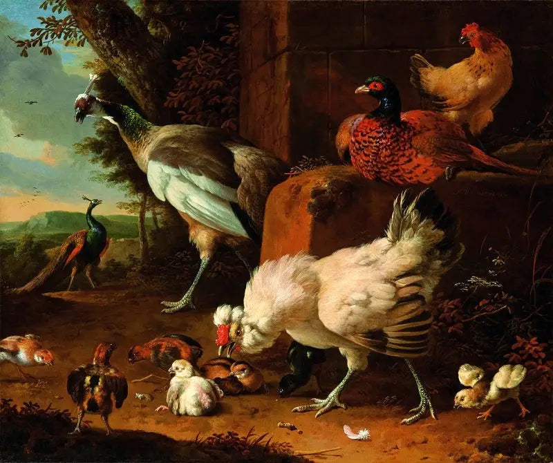Las aves de corral domésticas con un faisán y pavos reales. - Melchior de Hondecoeter