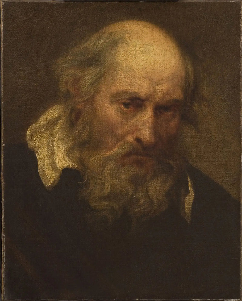 Cabeza de un anciano - Antoine van Dyck