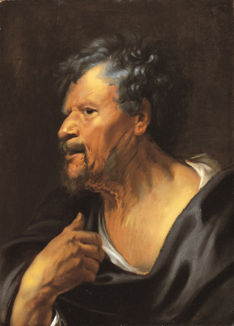 Tête d'un vieil homme - Jacob Jordaens1