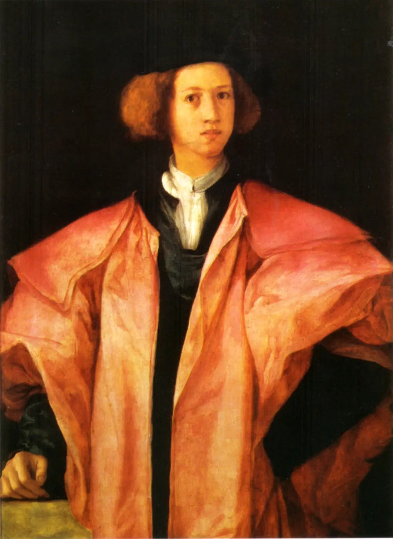 Retrato de un joven hombre - Pontormo