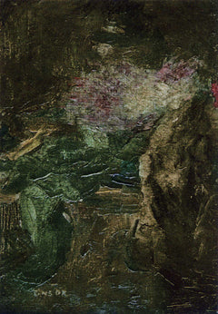 Drapery - James Ensor