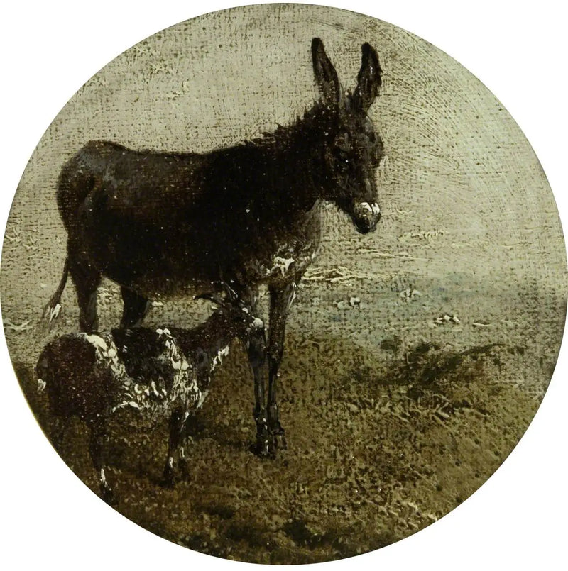 Ocho escenas de granja circulares: burro y cabra - John Frederick Herring, Sr.