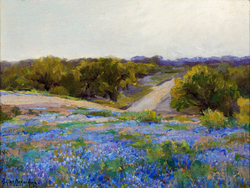 Lupinos azules al final de la tarde - Julian Onderdonk